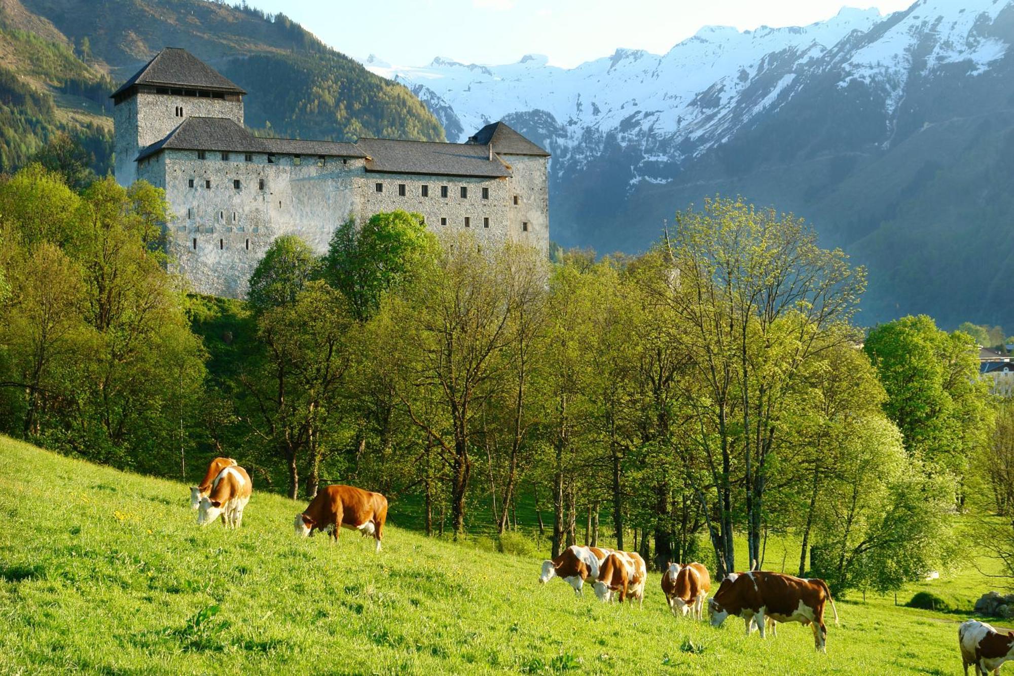 Simone'S Platzerl - Nachhaltiger Urlaub Inkl Sommerkarte, Freier Eintritt Tauern Spa, Schwimmteich Und Saunabereich Kaprun Buitenkant foto